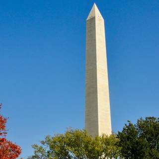 Washington DC 4k wallpaper