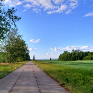 Summer sidewalk wallpaper