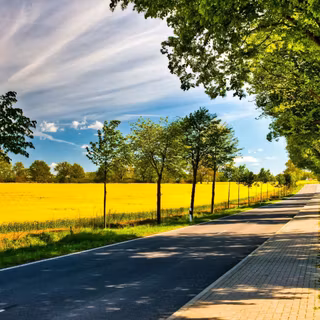 Summer sidewalk wallpaper