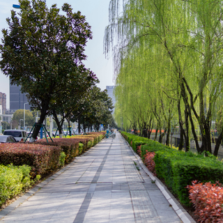 Summer sidewalk wallpaper