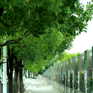 Summer sidewalk wallpaper