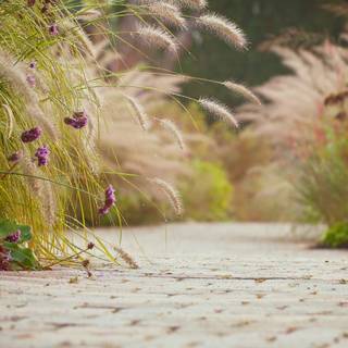 Summer sidewalk wallpaper