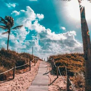 Summer sidewalk wallpaper
