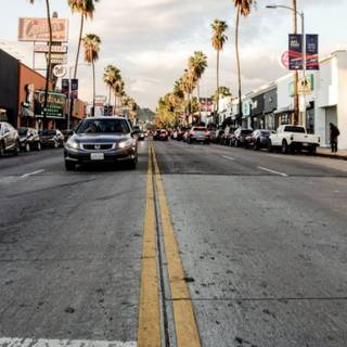 Summer sidewalk wallpaper