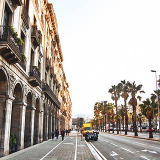Summer sidewalk wallpaper