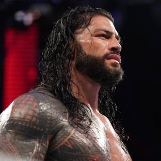 Roman Reings 4k wallpaper