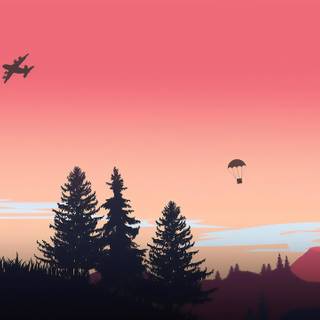 PUBG vector 4k wallpaper