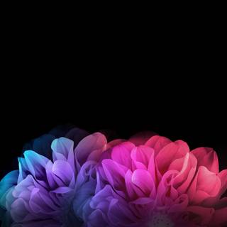 LG 4k wallpaper