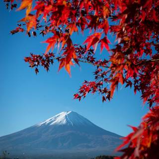 4k Mount Fuji wallpaper