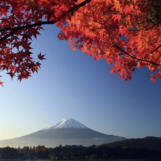 4k Mount Fuji wallpaper
