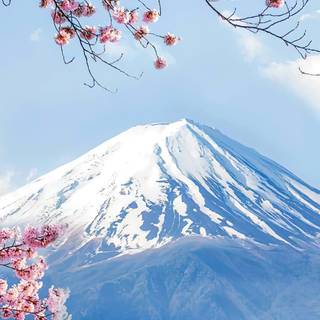 4k Mount Fuji wallpaper
