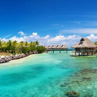 Bora Bora 4k wallpaper