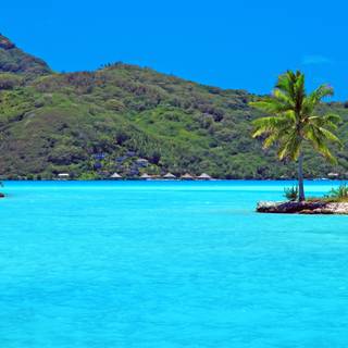 Bora Bora 4k wallpaper