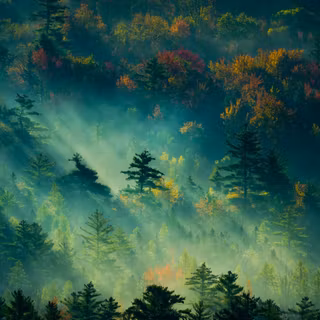 4k environment wallpaper