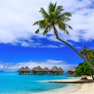 Bora Bora 4k wallpaper