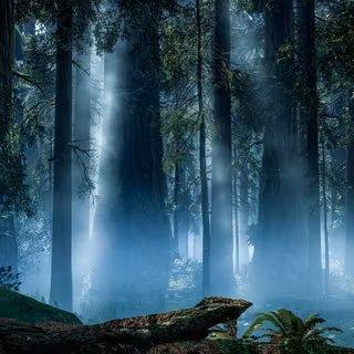 4k environment wallpaper