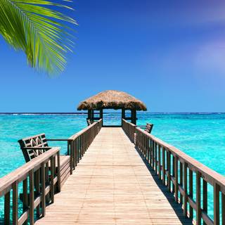 Bora Bora 4k wallpaper