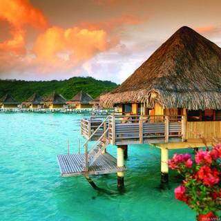 Bora Bora 4k wallpaper