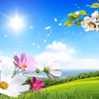 Summer season desktop wallpaper