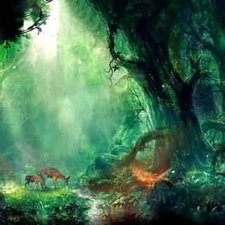 2560x1440 fairy wallpaper