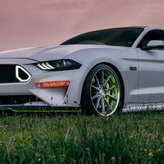 White Mustang GT wallpaper