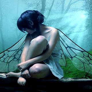 Black fairy wallpaper