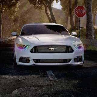 White Mustang GT wallpaper