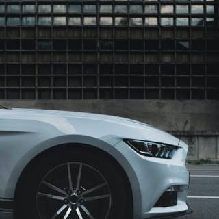 White Mustang GT wallpaper