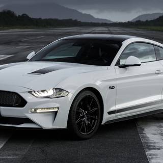 White Mustang GT wallpaper