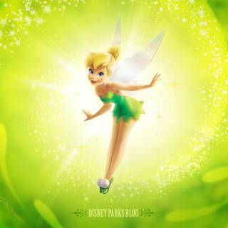 2560x1440 fairy wallpaper