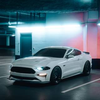 White Mustang GT wallpaper