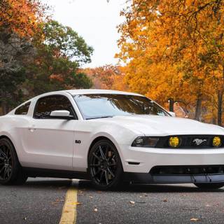 White Mustang GT wallpaper