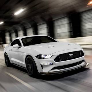 White Mustang GT wallpaper