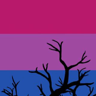 Bisexual phone wallpaper
