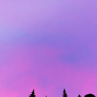 Bisexual phone wallpaper