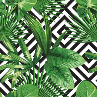 Tropical leaves 2023 wallpaper