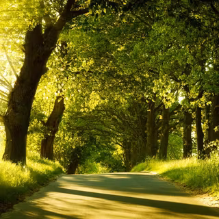 Landscape laptop wallpaper