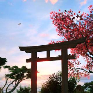 Japan gate wallpaper