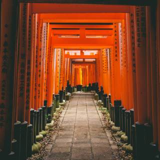 Japan gate wallpaper