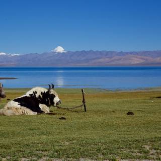 Manasarovar wallpaper