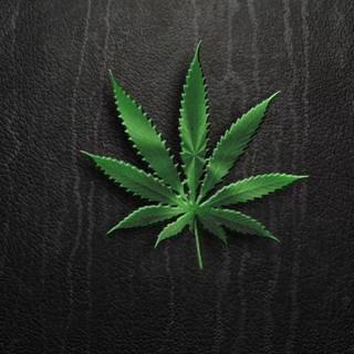 Weed iPhone 4k wallpaper
