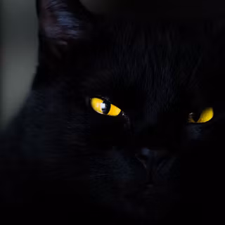 Black yellow 4k wallpaper