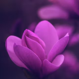 Purple 4k mobile wallpaper