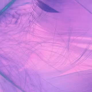 Purple 4k mobile wallpaper