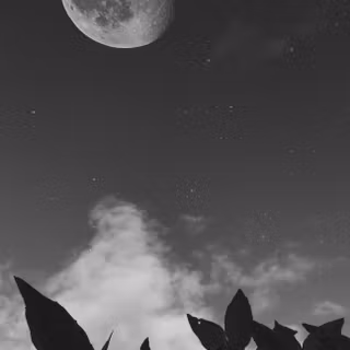 Dark moon 4k wallpaper