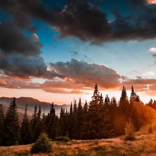 Ukraine 4k wallpaper