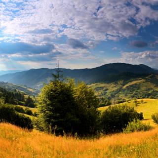 Ukraine 4k wallpaper