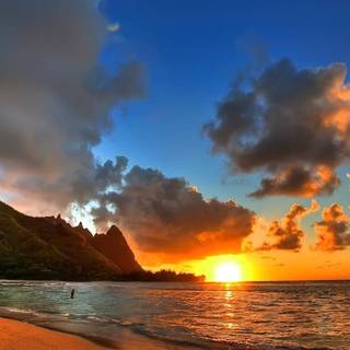 Summer nature sunset wallpaper