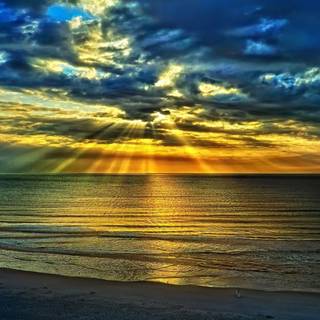 Summer nature sunset wallpaper