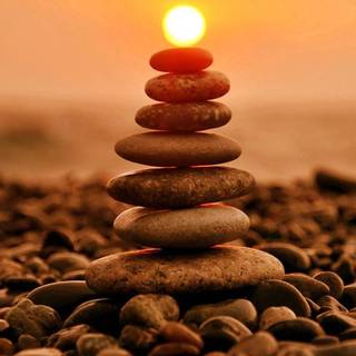 Summer nature sunset wallpaper